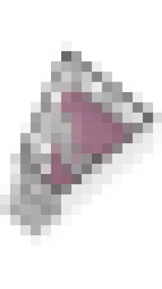 Spinozaweg 46 BS Utrecht thumbnail 32