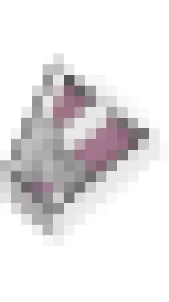 Spinozaweg 46 BS Utrecht thumbnail 34