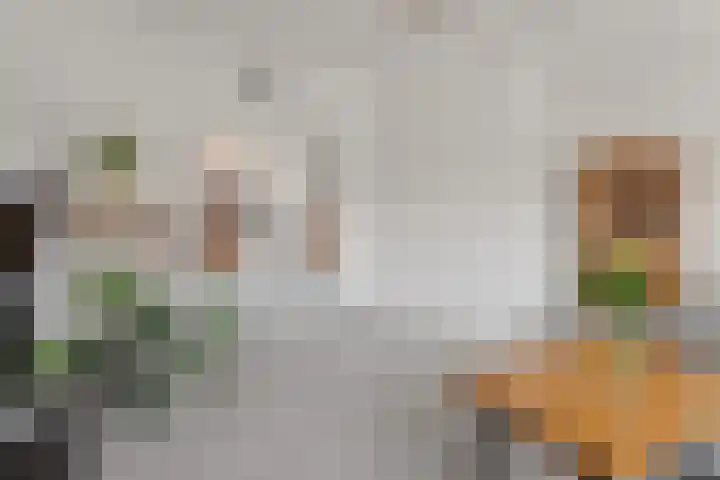 Spinozaweg 46 BS Utrecht thumbnail 7