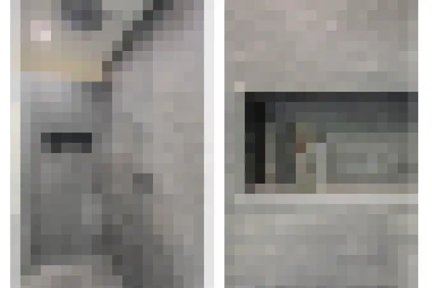 Spinozaweg 463 Rotterdam thumbnail 34