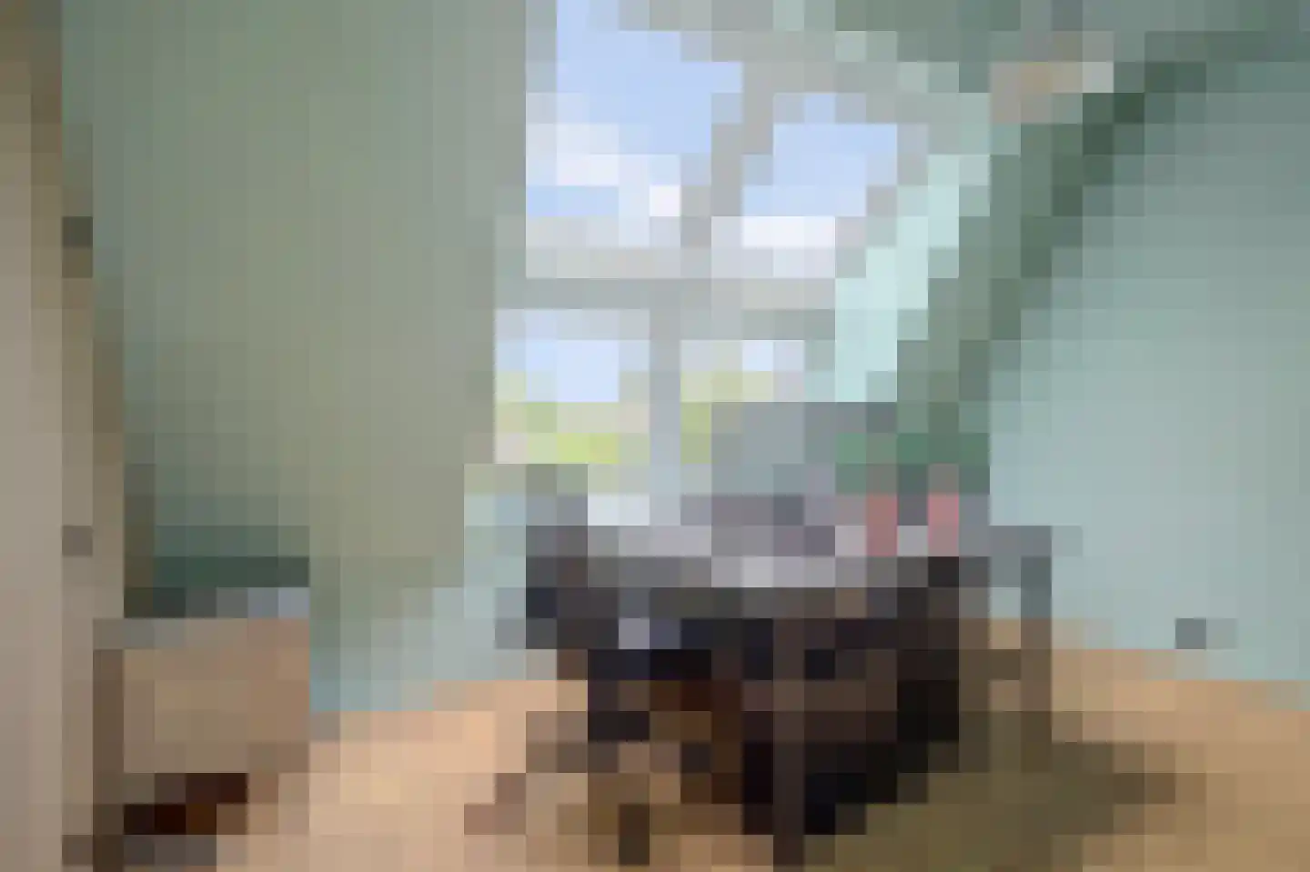 Spinozaweg 463 Rotterdam thumbnail 37