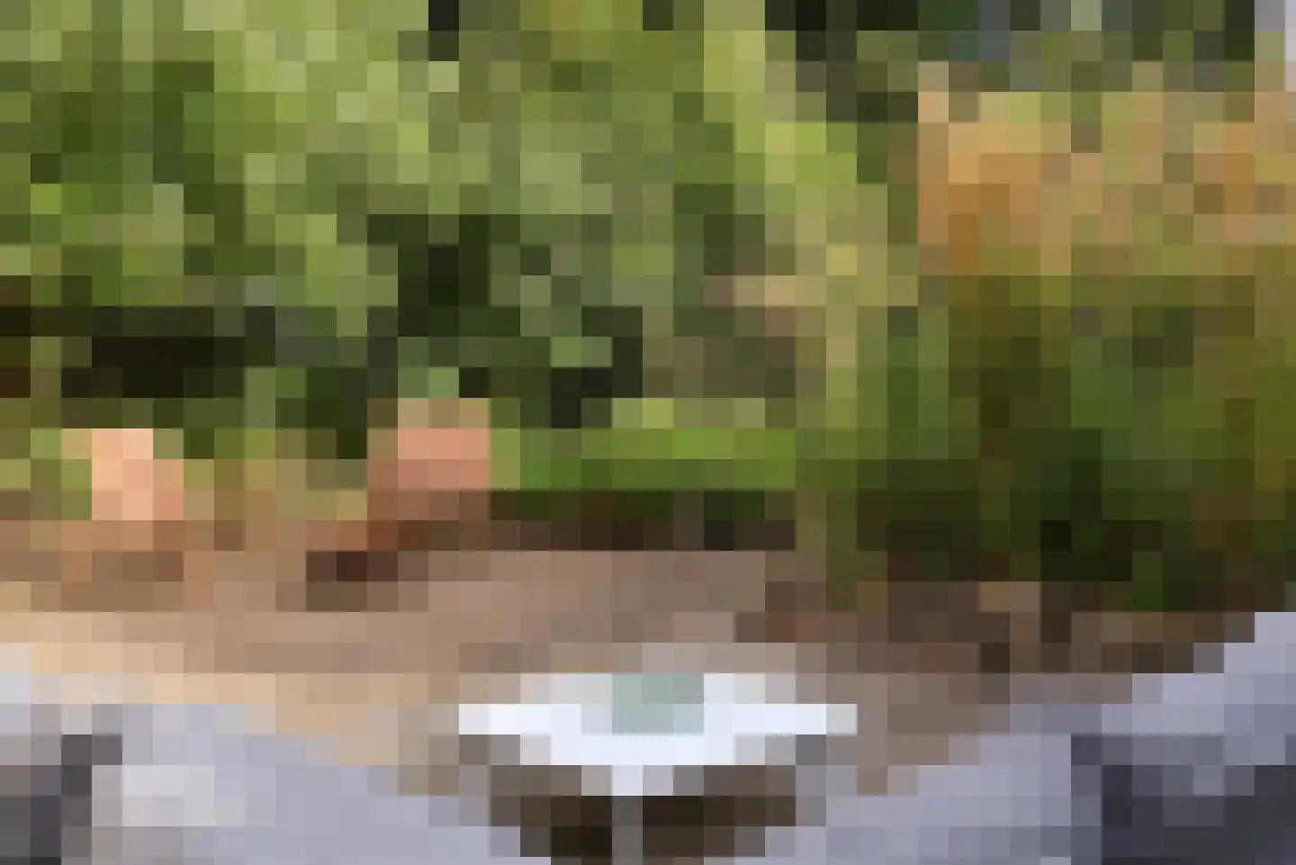 Spinozaweg 463 Rotterdam thumbnail 4
