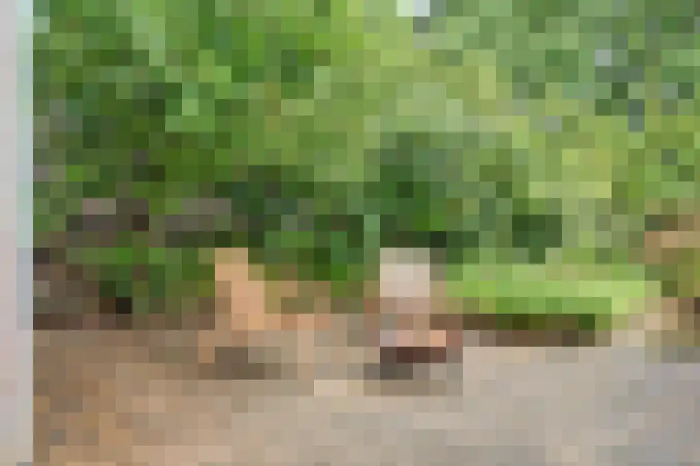 Spinozaweg 463 Rotterdam thumbnail 40
