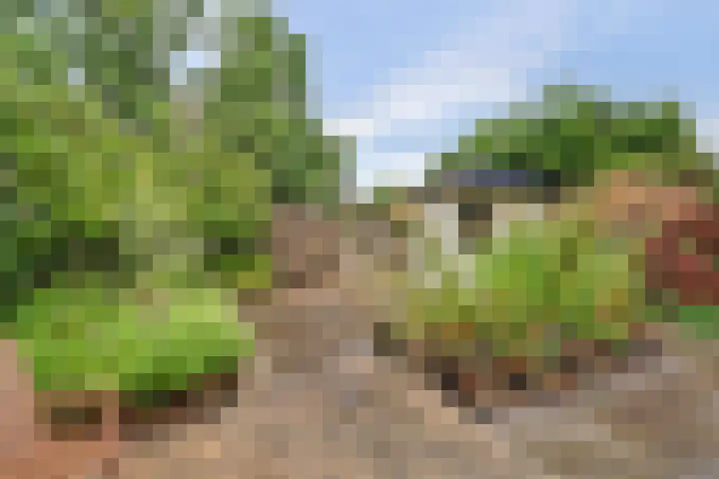 Spinozaweg 463 Rotterdam thumbnail 43