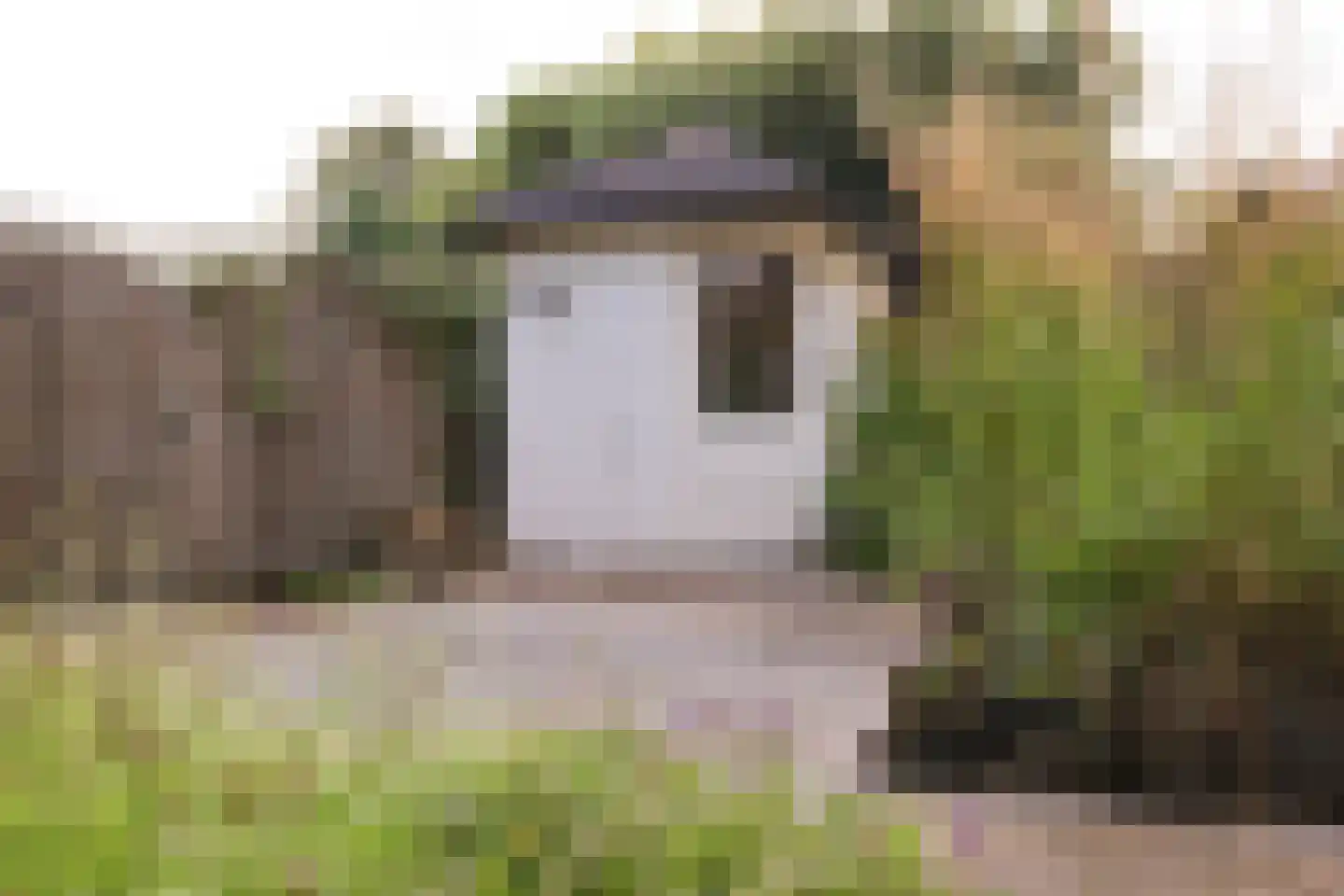 Spinozaweg 463 Rotterdam thumbnail 44