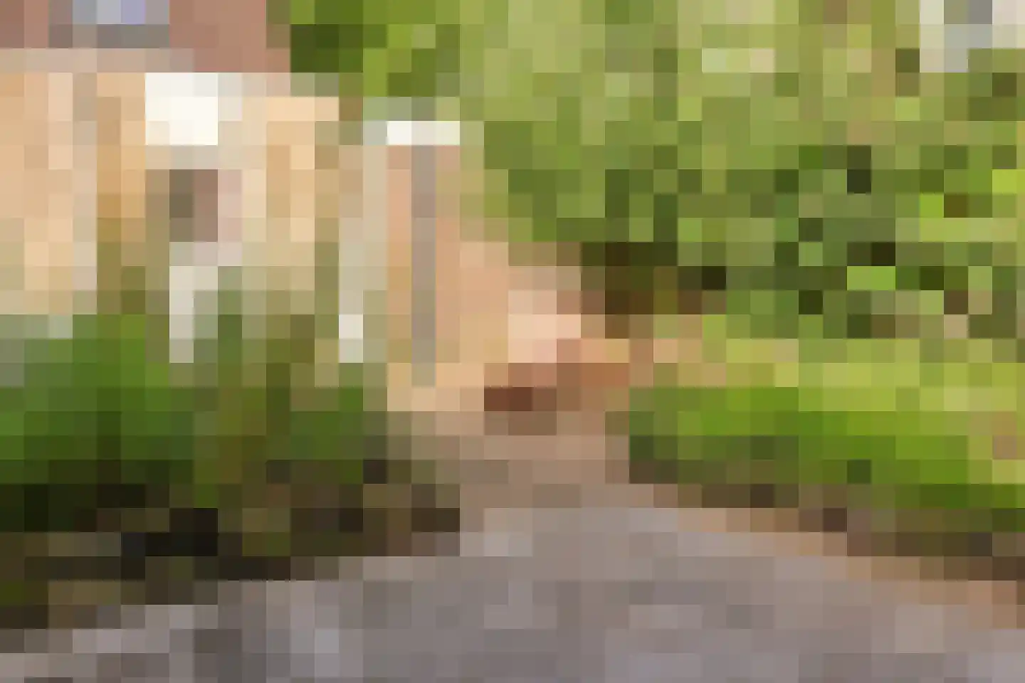 Spinozaweg 463 Rotterdam thumbnail 46
