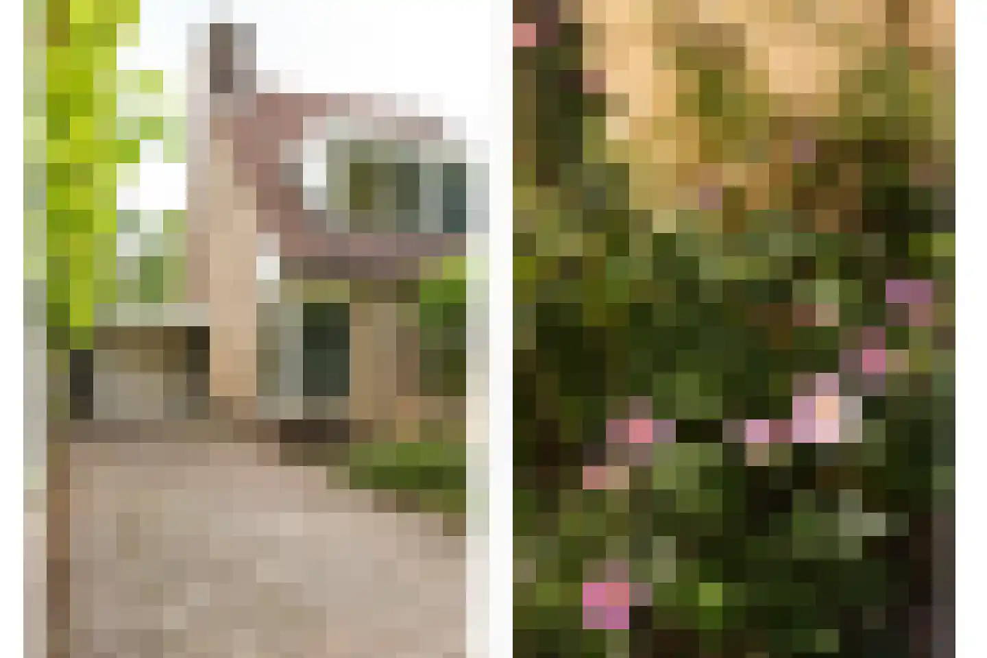 Spinozaweg 463 Rotterdam thumbnail 53