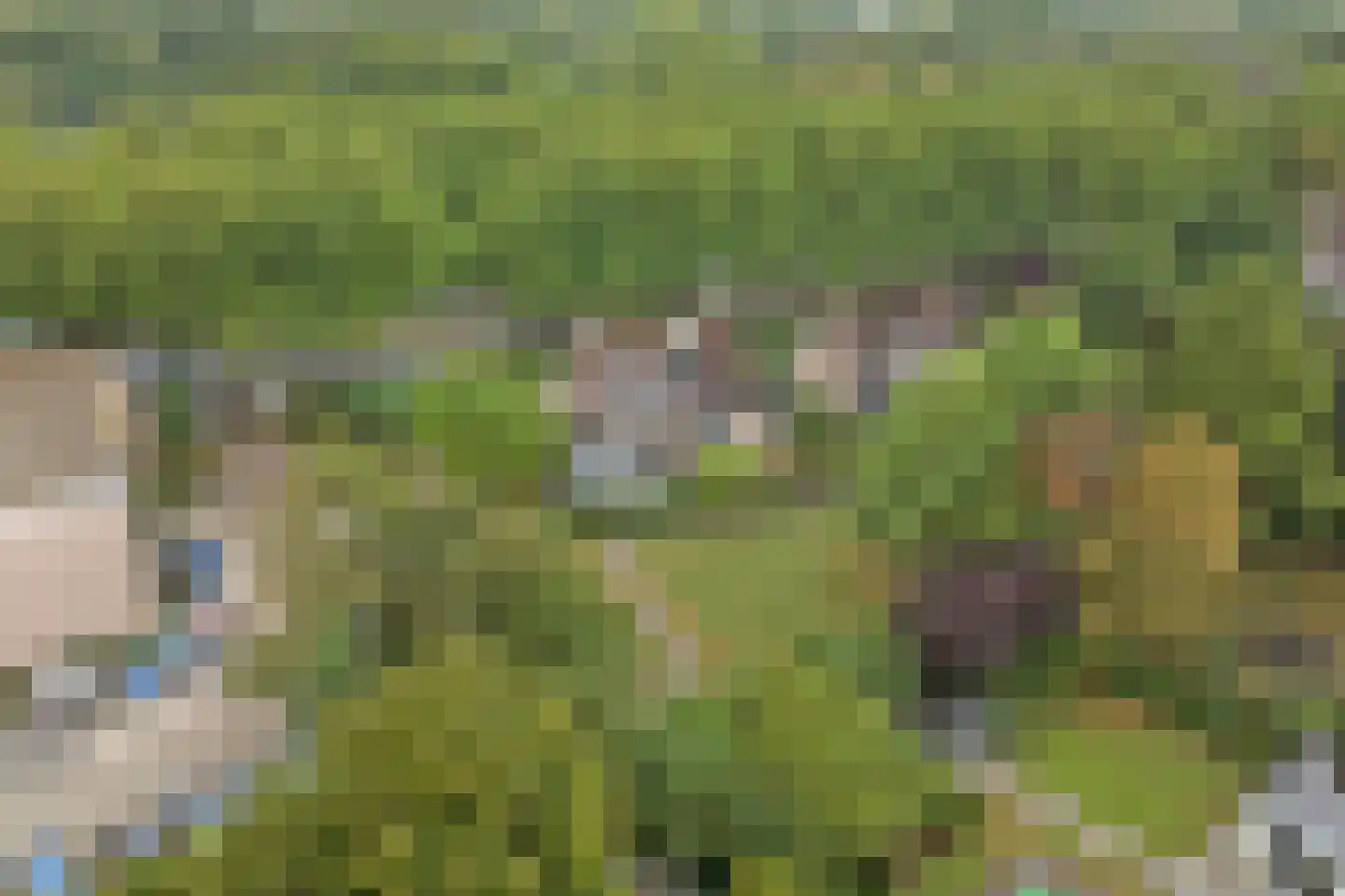 Spinozaweg 463 Rotterdam thumbnail 60