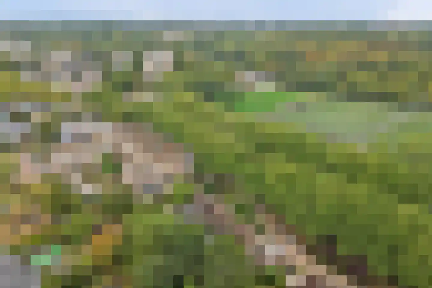 Spinozaweg 463 Rotterdam thumbnail 61
