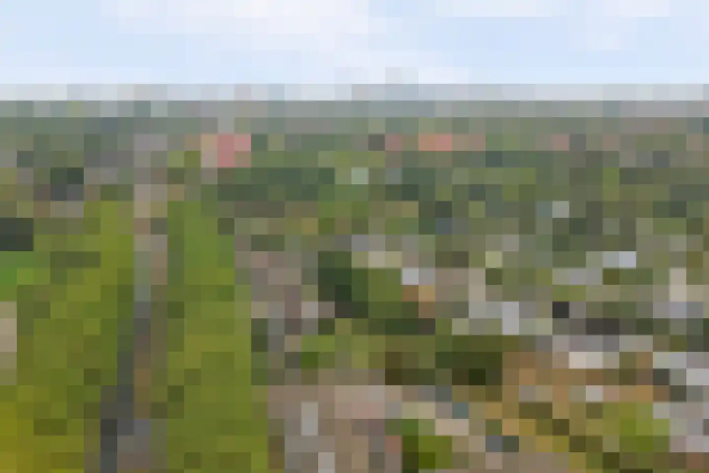 Spinozaweg 463 Rotterdam thumbnail 62
