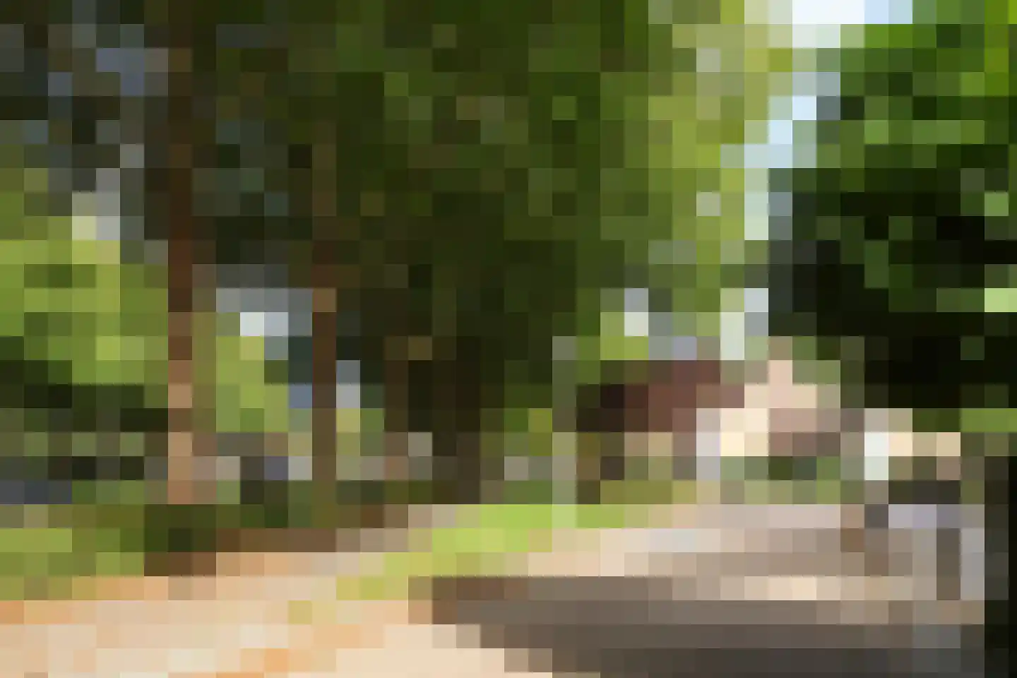 Spinozaweg 463 Rotterdam thumbnail 64