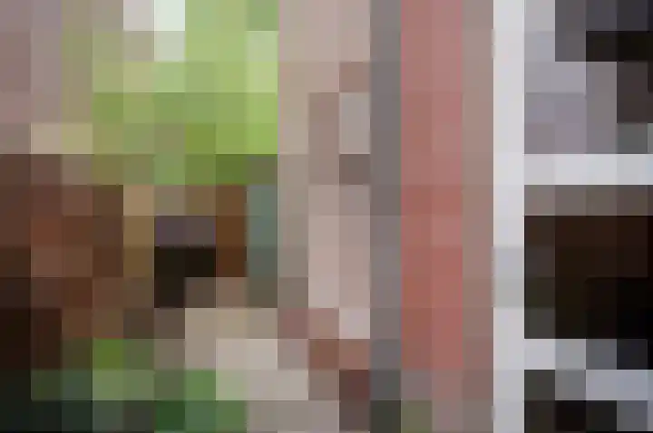 Spinozaweg 68 Utrecht thumbnail 10