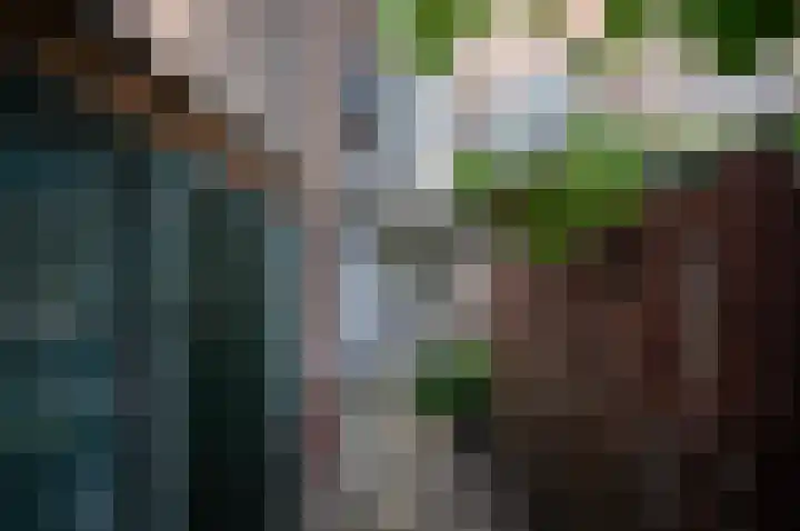 Spinozaweg 68 Utrecht thumbnail 11