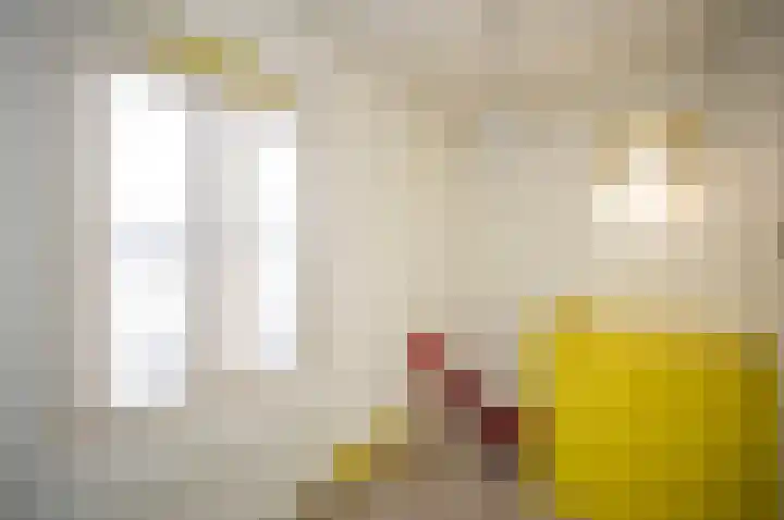 Spinozaweg 68 Utrecht thumbnail 16