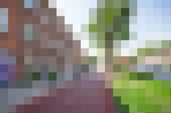 Spinozaweg 68 Utrecht thumbnail 20
