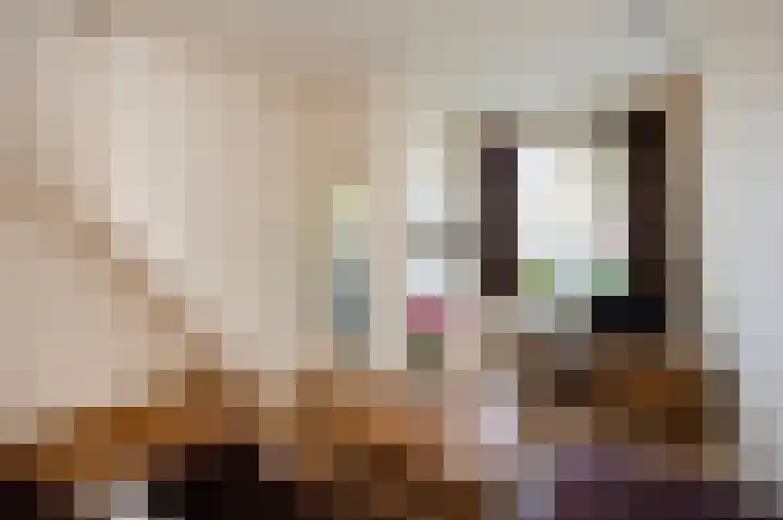 Spinozaweg 68 Utrecht thumbnail 6