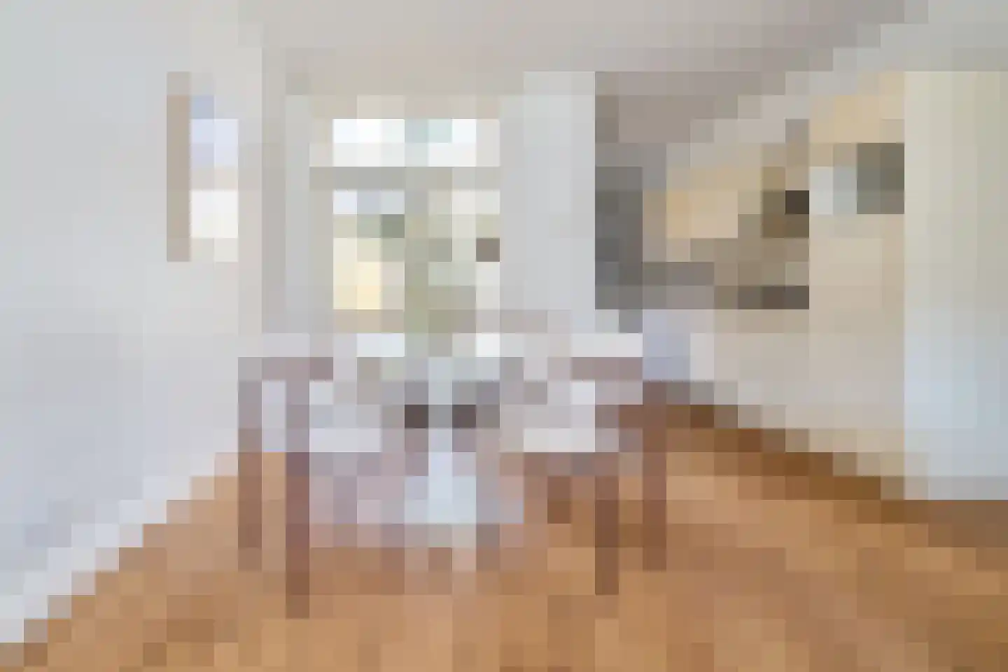 Spinozaweg 69 Utrecht thumbnail 10