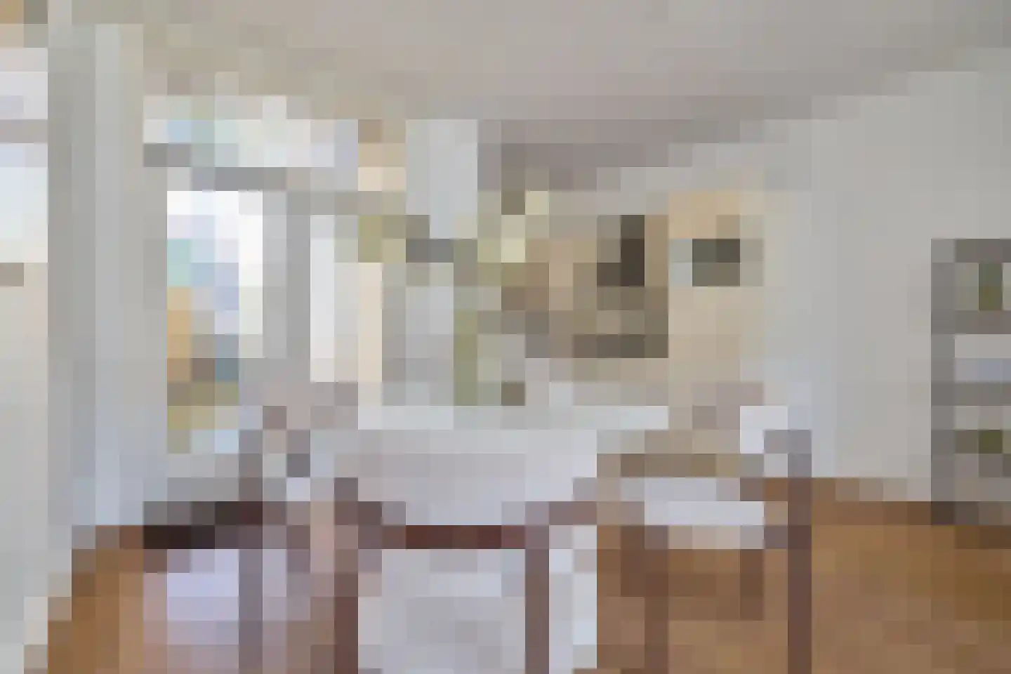 Spinozaweg 69 Utrecht thumbnail 11