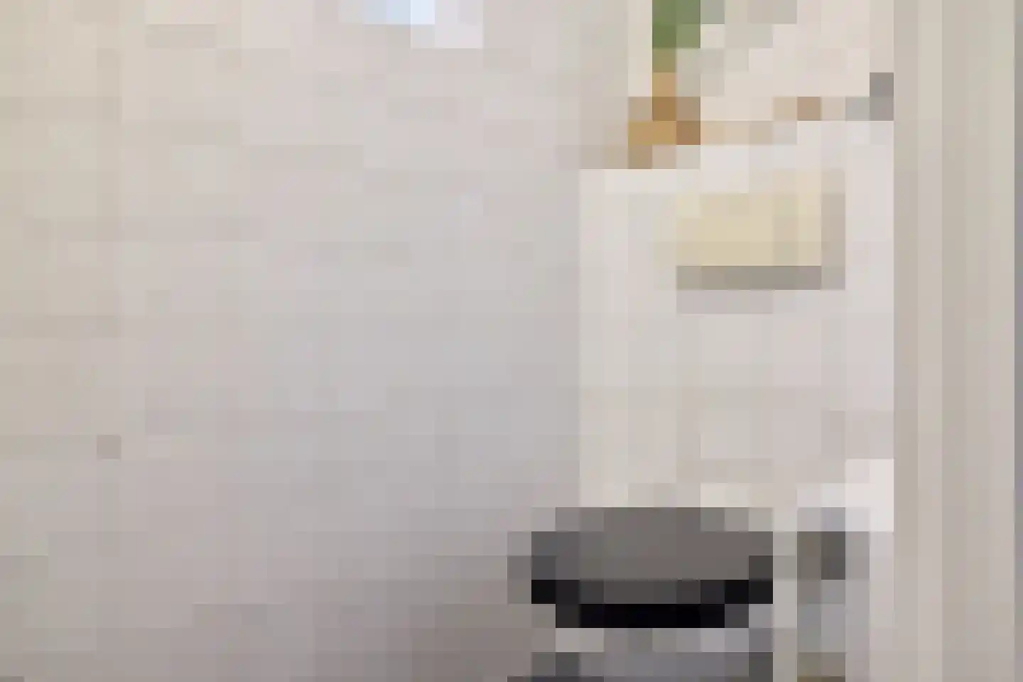 Spinozaweg 69 Utrecht thumbnail 24