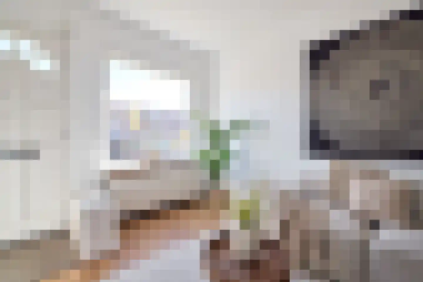 Spinozaweg 69 Utrecht thumbnail 6