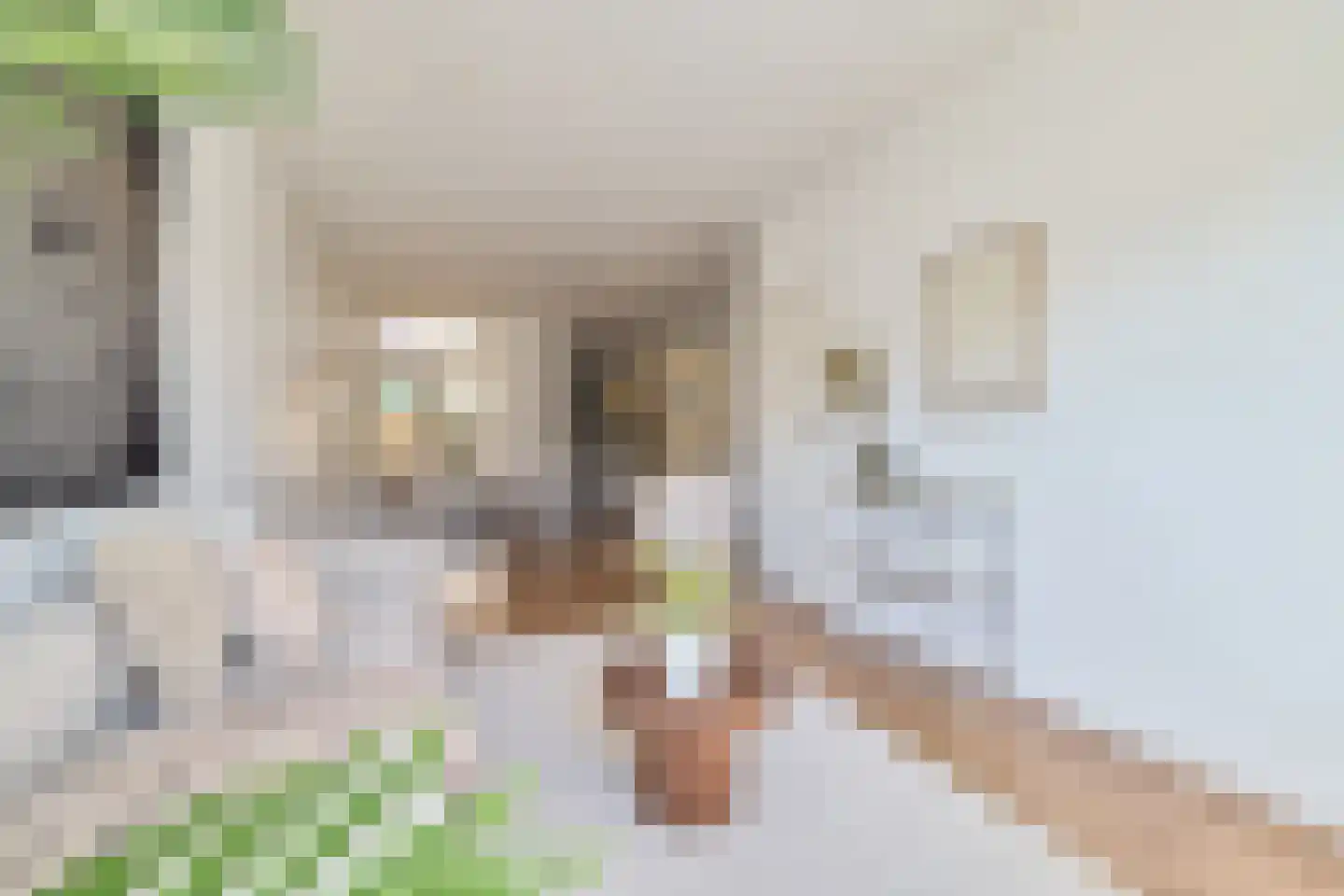 Spinozaweg 69 Utrecht thumbnail 7