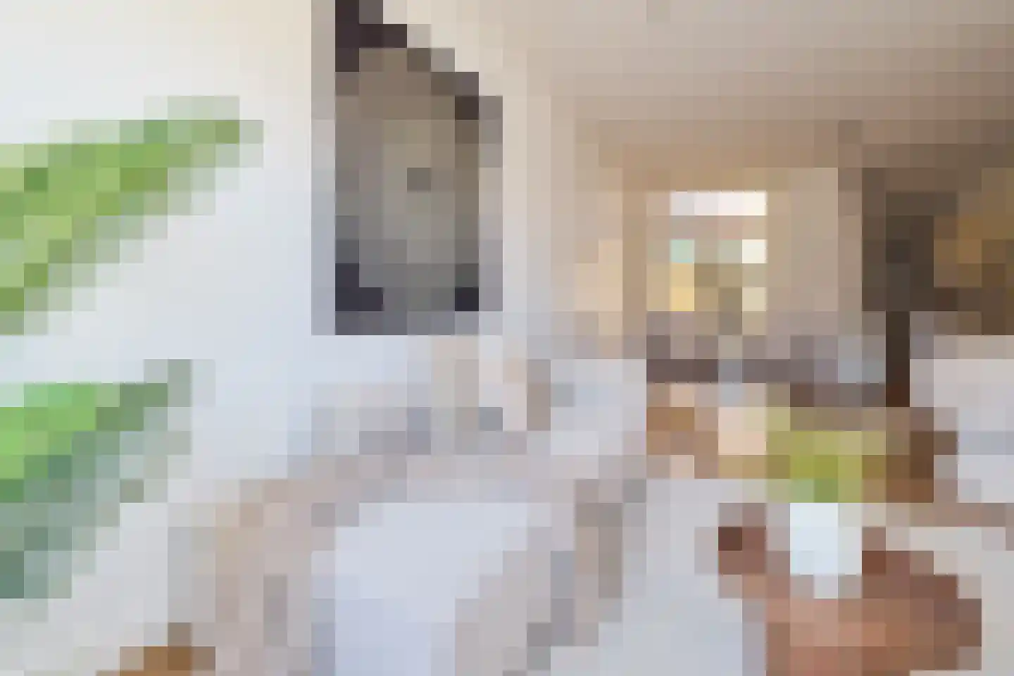 Spinozaweg 69 Utrecht thumbnail 8