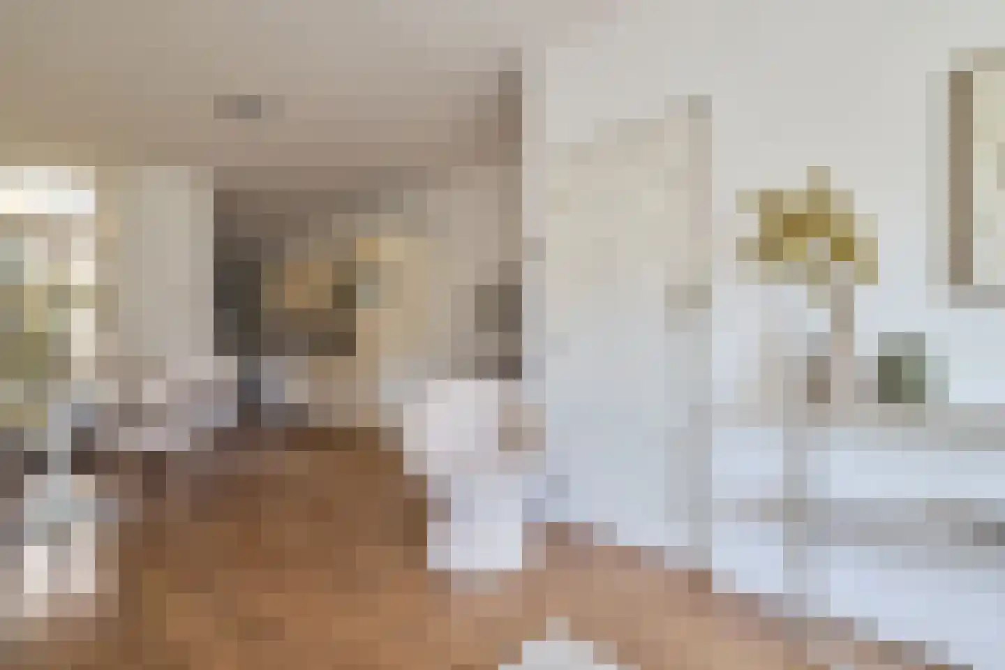 Spinozaweg 69 Utrecht thumbnail 9