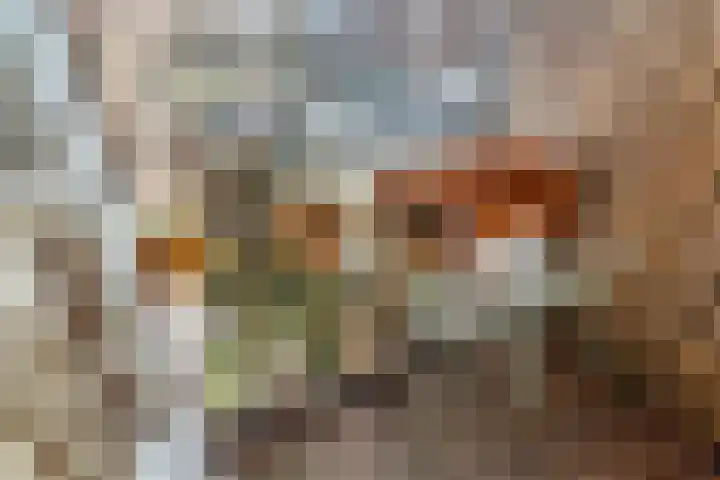 Spinozaweg 70 BS Utrecht thumbnail 19