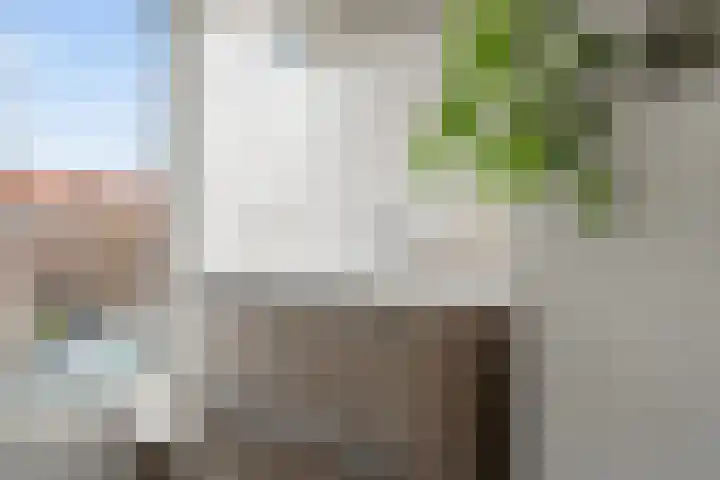 Spinozaweg 70 BS Utrecht thumbnail 31