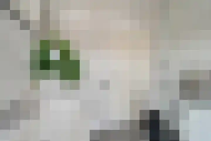 Spinozaweg 70 BS Utrecht thumbnail 32