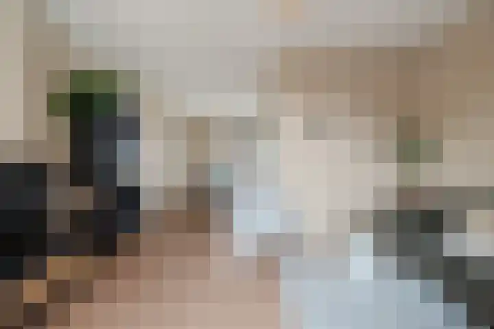 Spinozaweg 70 BS Utrecht thumbnail 8