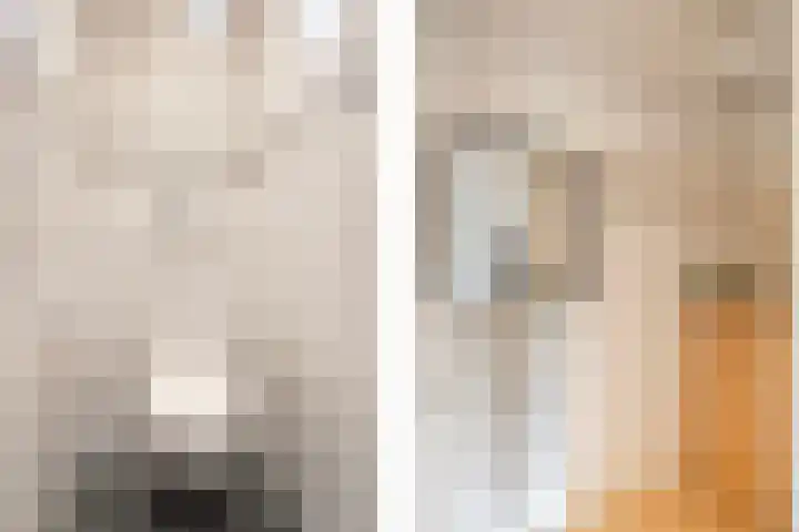 Spinozaweg 71 BS Utrecht thumbnail 10