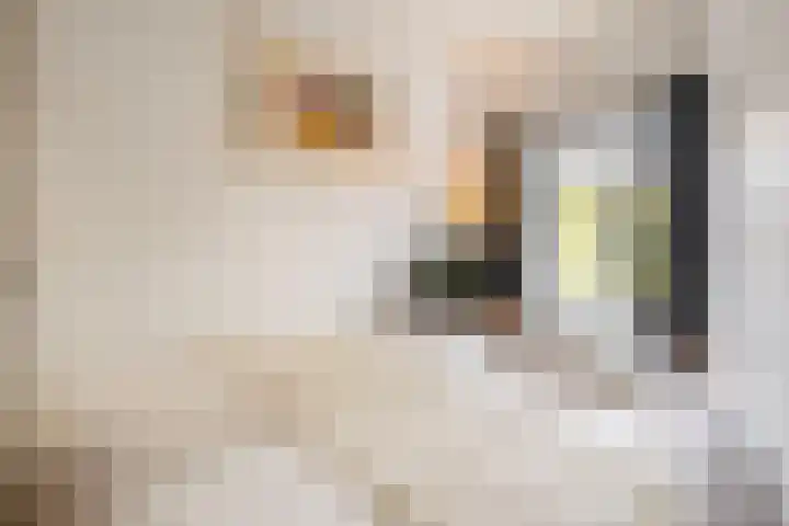 Spinozaweg 71 BS Utrecht thumbnail 11