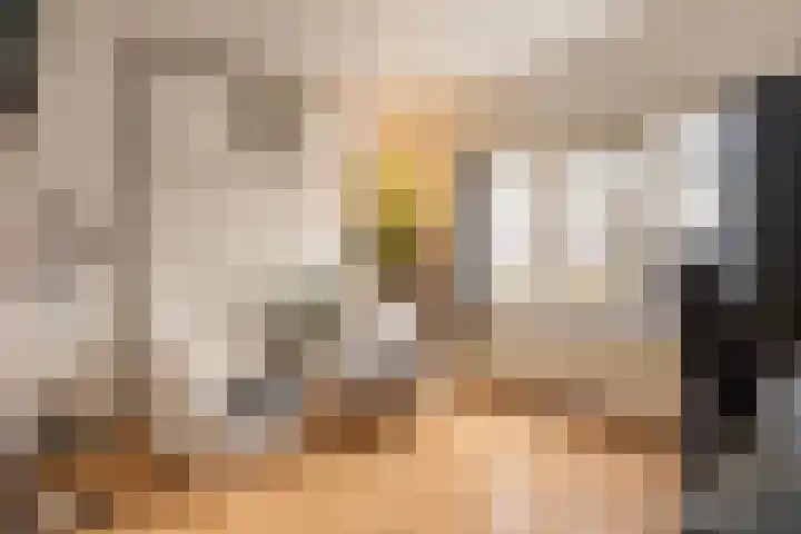Spinozaweg 71 BS Utrecht thumbnail 12