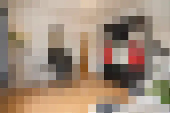Spinozaweg 71 BS Utrecht thumbnail 13
