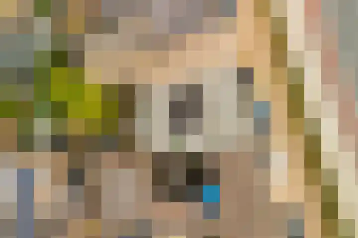 Spinozaweg 71 BS Utrecht thumbnail 15