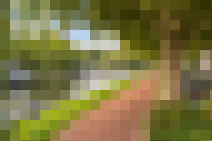 Spinozaweg 71 BS Utrecht thumbnail 18