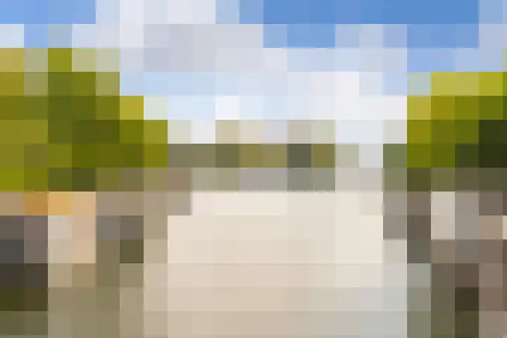 Spinozaweg 71 BS Utrecht thumbnail 19