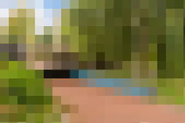 Spinozaweg 71 BS Utrecht thumbnail 20