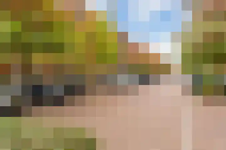 Spinozaweg 71 BS Utrecht thumbnail 21