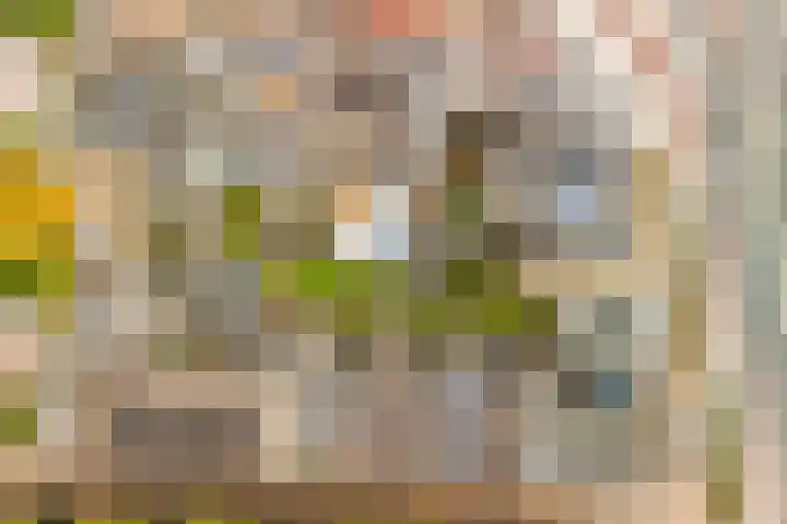 Spinozaweg 71 BS Utrecht thumbnail 22