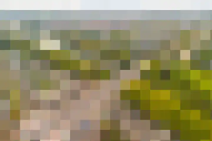 Spinozaweg 71 BS Utrecht thumbnail 23