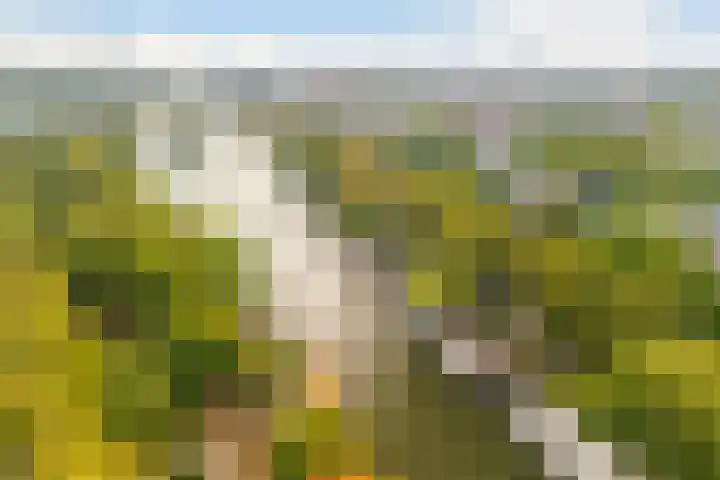 Spinozaweg 71 BS Utrecht thumbnail 24