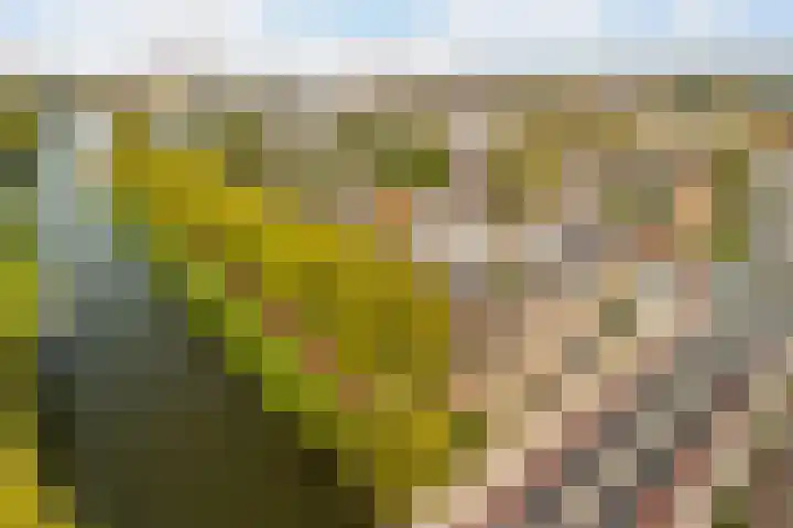 Spinozaweg 71 BS Utrecht thumbnail 25