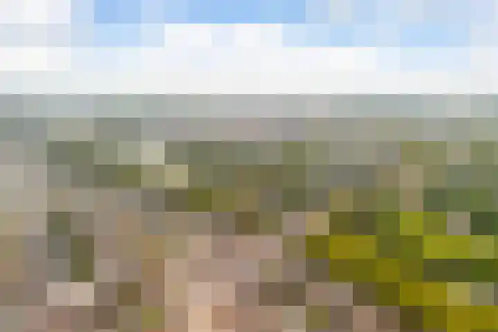 Spinozaweg 71 BS Utrecht thumbnail 26