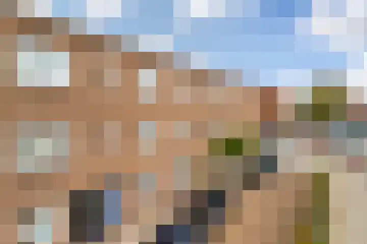 Spinozaweg 71 BS Utrecht thumbnail 27