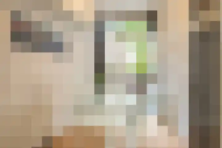 Spinozaweg 71 BS Utrecht thumbnail 6