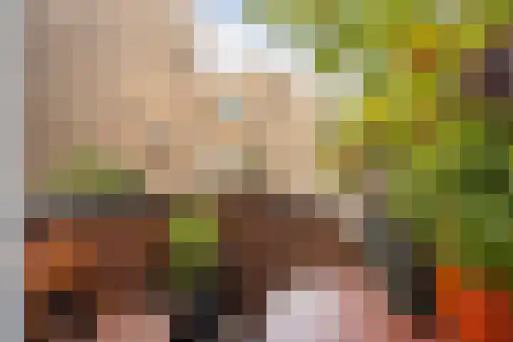 Spinozaweg 71 BS Utrecht thumbnail 7