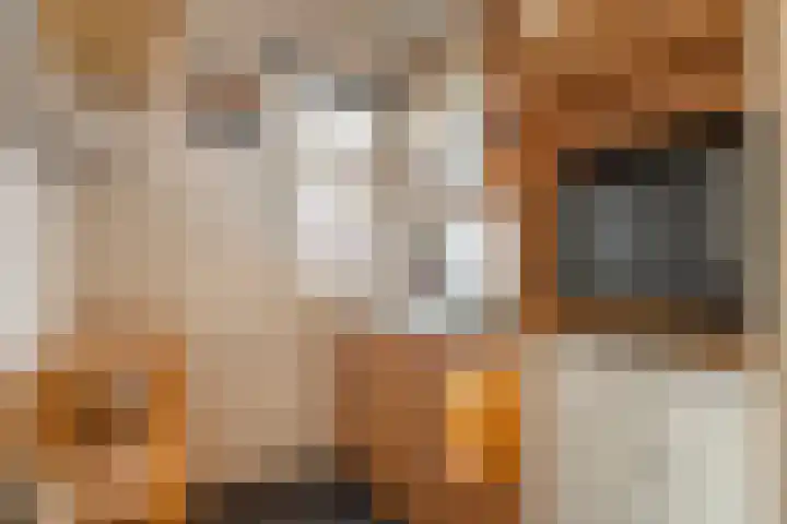 Spinozaweg 71 BS Utrecht thumbnail 8