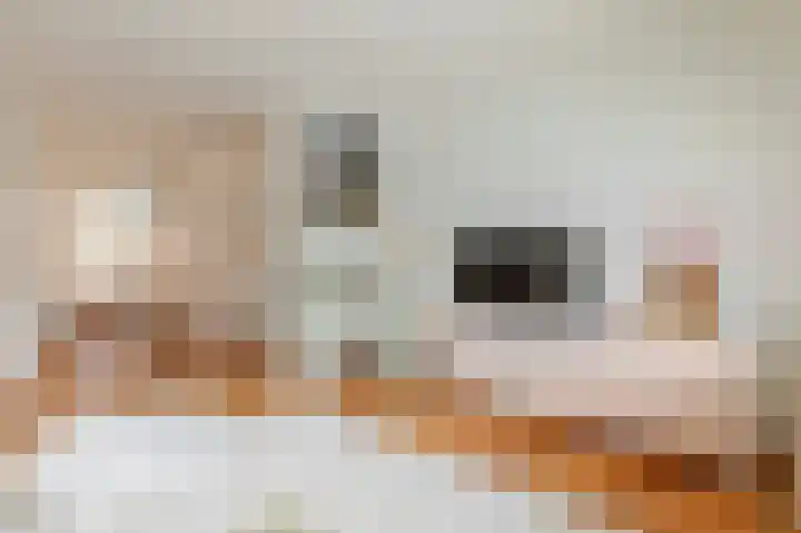 Spinozaweg 71 Utrecht thumbnail 11